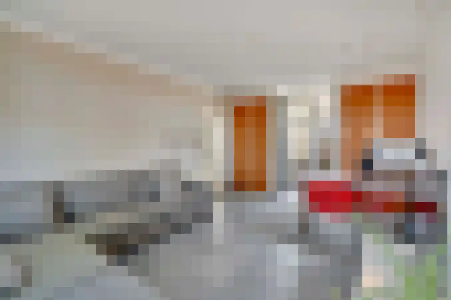 Statenweg 32 Venhorst thumbnail 12
