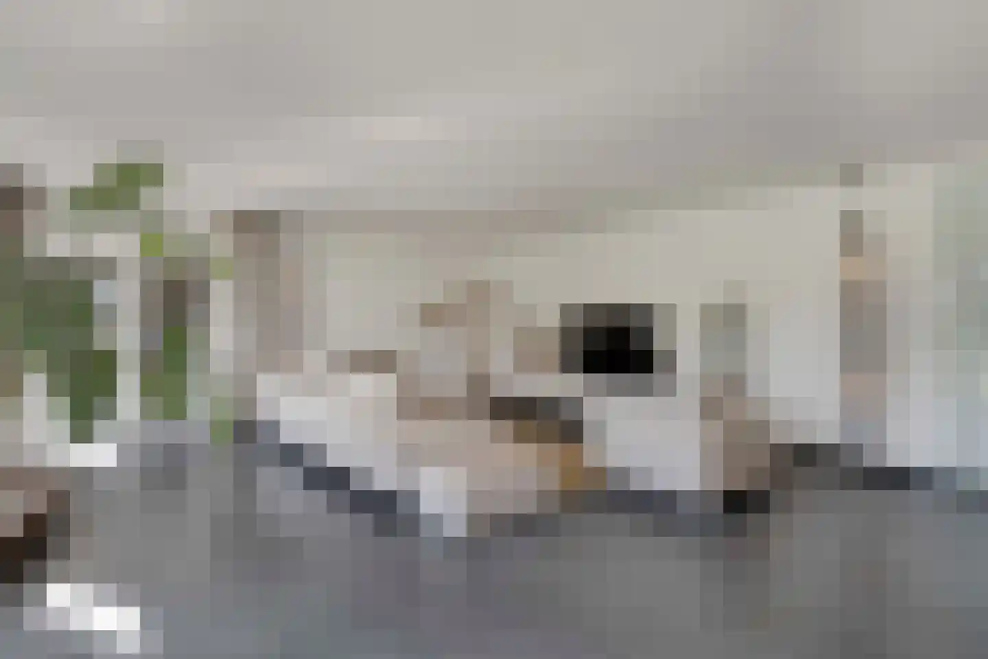 Statenweg 32 Venhorst thumbnail 21