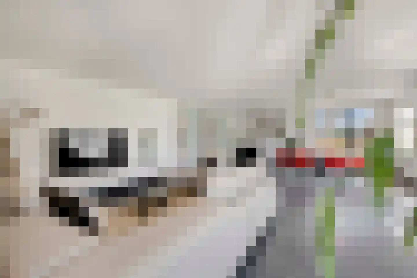 Statenweg 32 Venhorst thumbnail 22