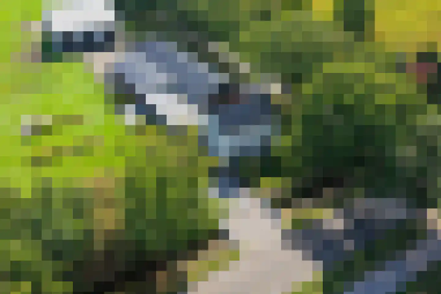 Statenweg 32 Venhorst thumbnail 4