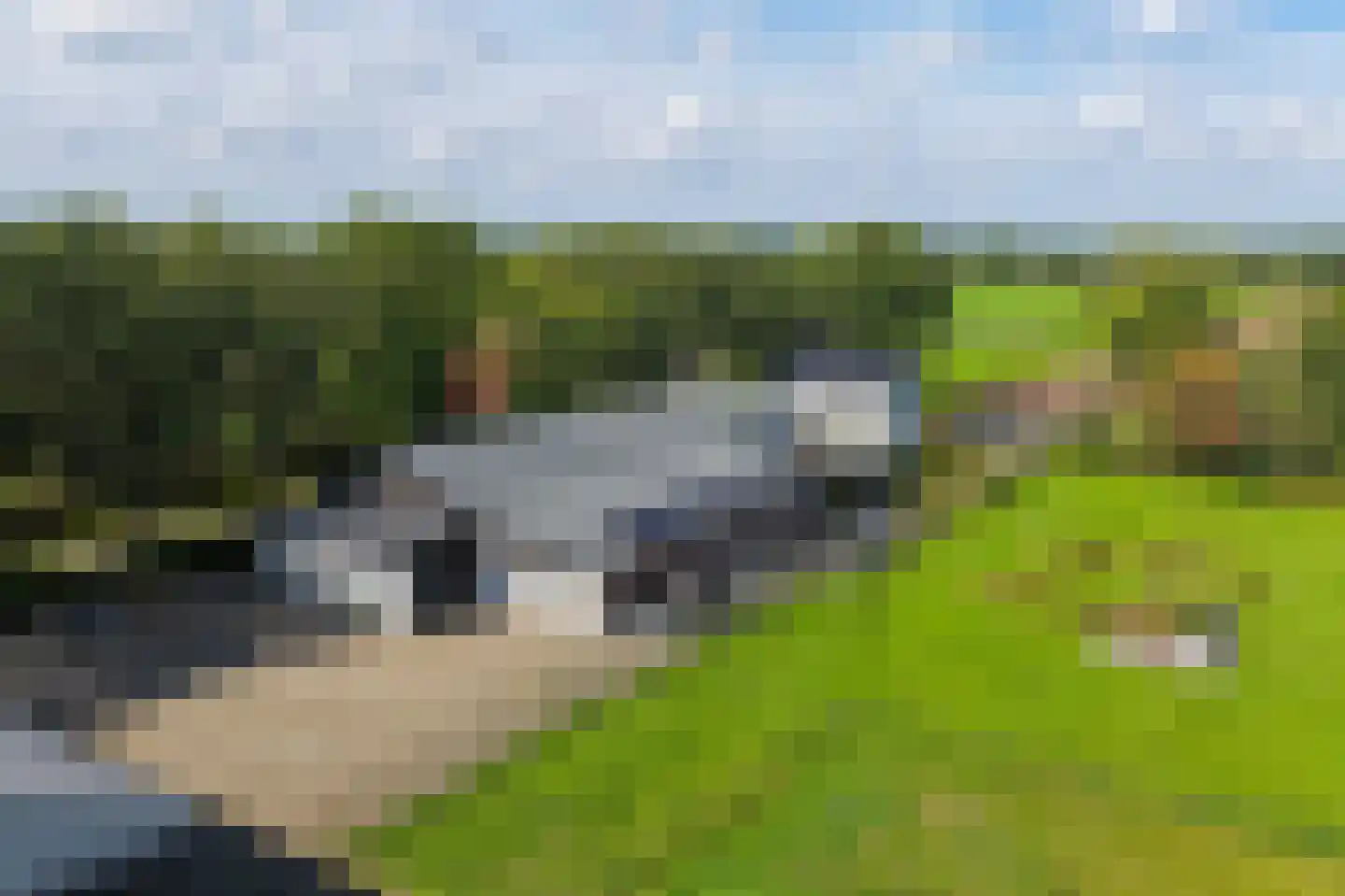 Statenweg 32 Venhorst thumbnail 43