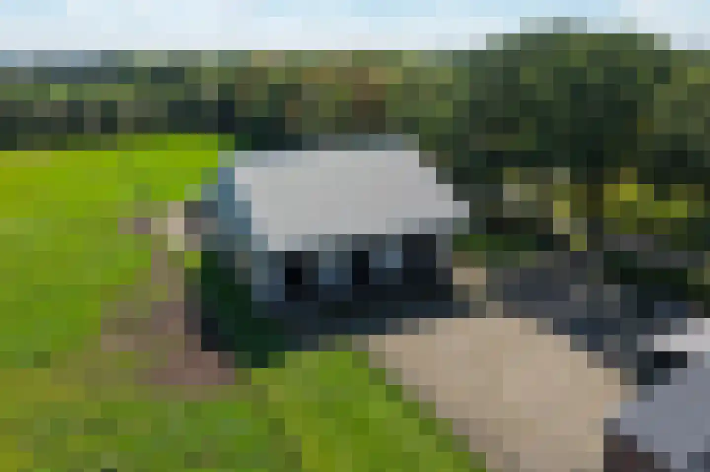 Statenweg 32 Venhorst thumbnail 44