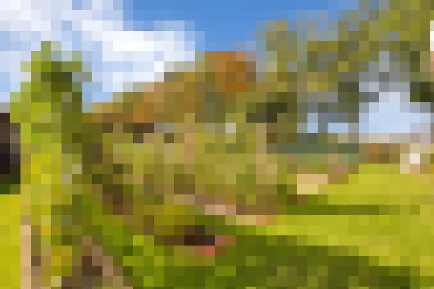 Statenweg 32 Venhorst thumbnail 53