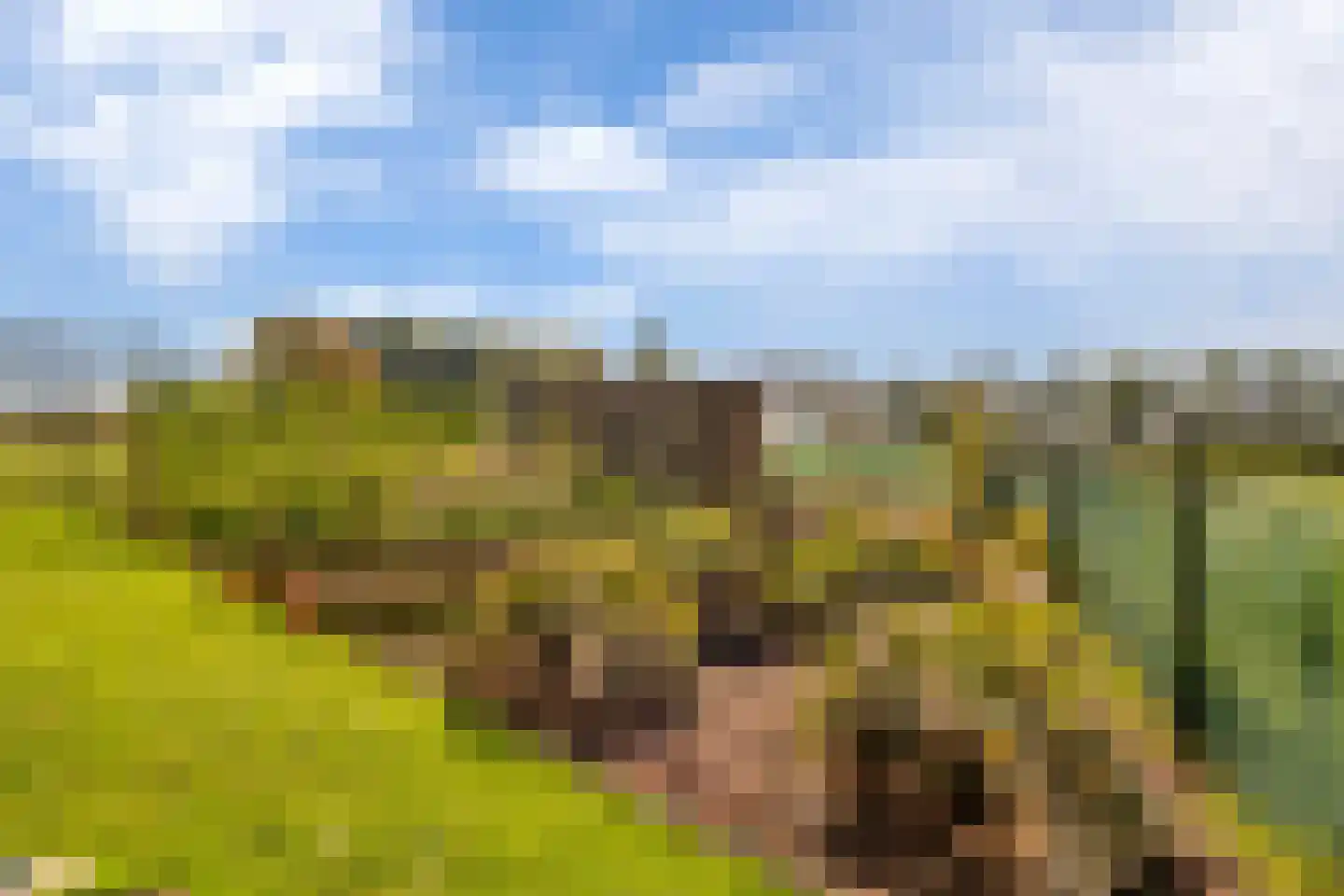 Statenweg 32 Venhorst thumbnail 55
