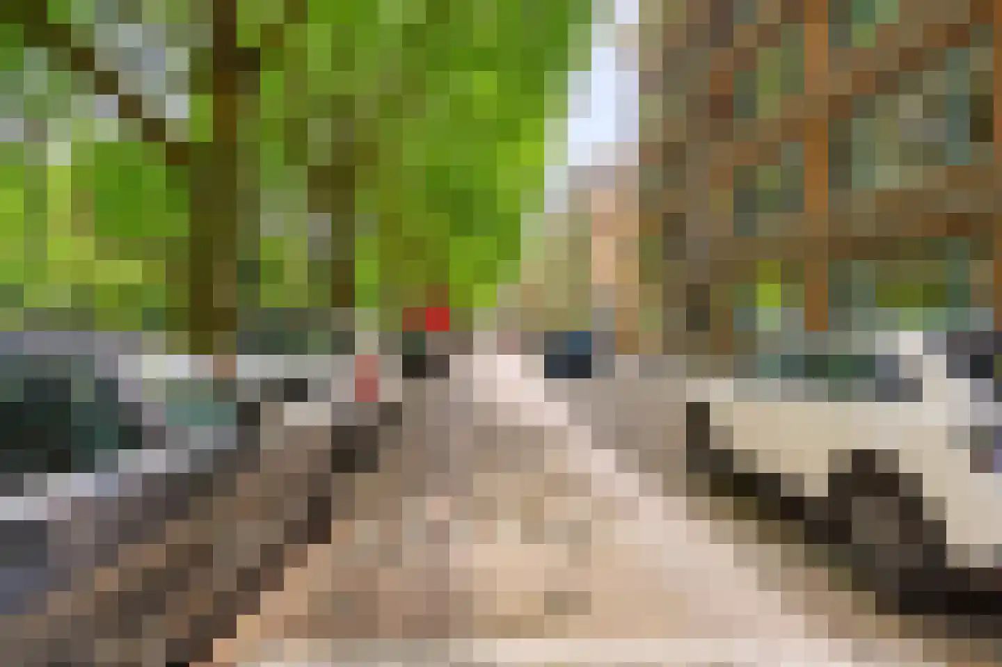 Statenweg 35 02R Rotterdam thumbnail 23