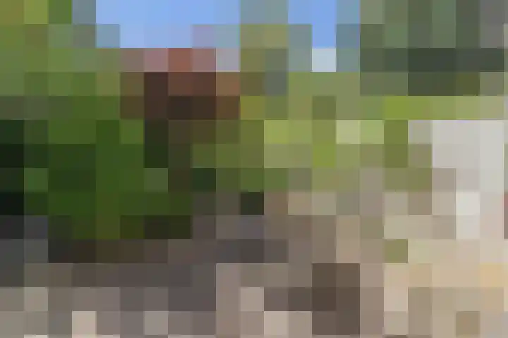 Statenweg 35 03L Rotterdam thumbnail 23