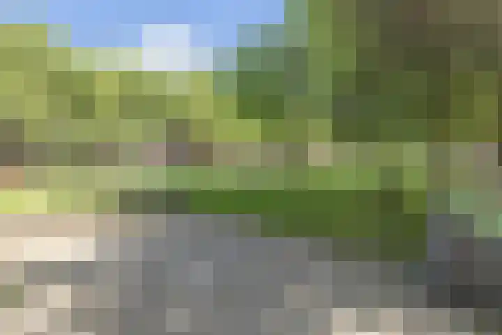Statenweg 35 03L Rotterdam thumbnail 36