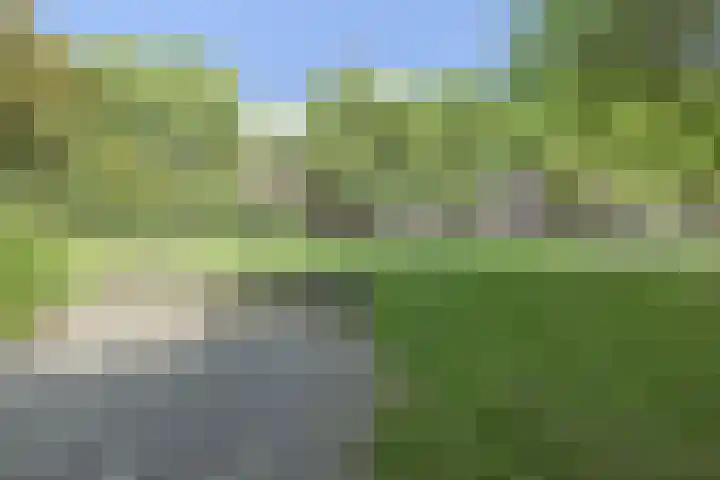 Statenweg 35 03L Rotterdam thumbnail 38