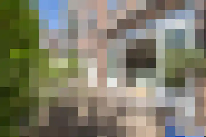 Statenweg 35 03L Rotterdam thumbnail 5