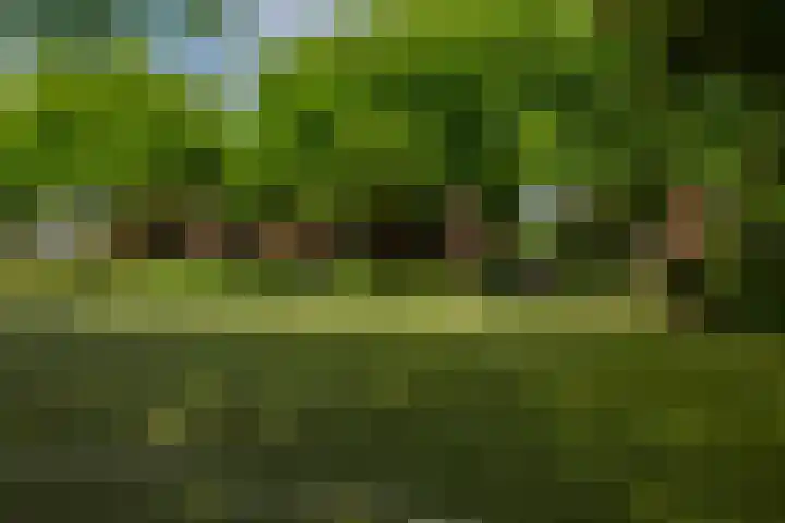 Statenweg 37 Rotterdam thumbnail 24