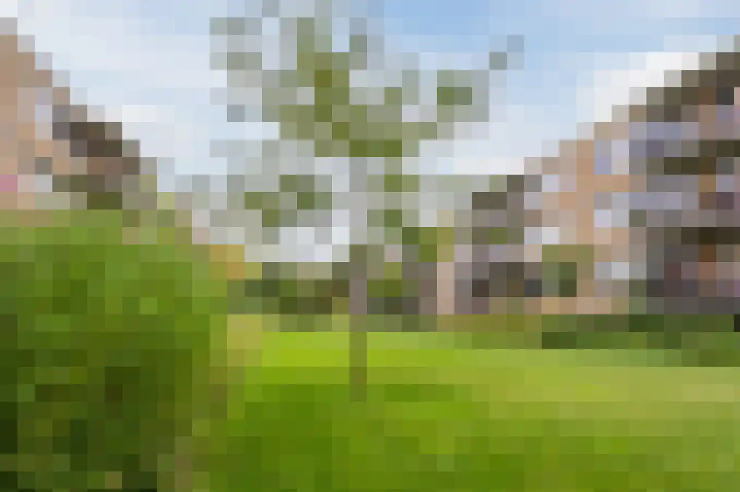 Statenweg 41 F Rotterdam thumbnail 42