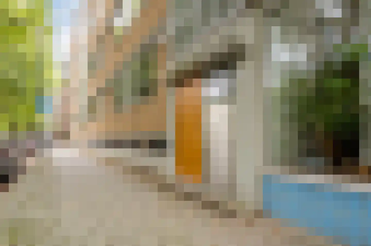 Statenweg 41 F Rotterdam thumbnail 9