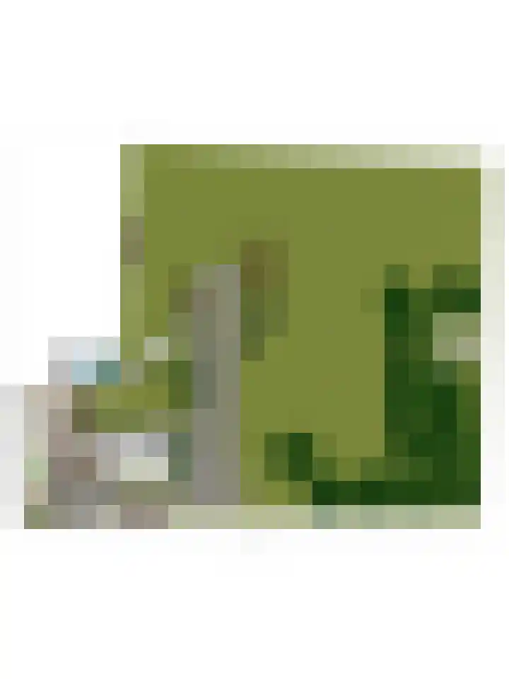 Statenweg 43 Venhorst thumbnail 38