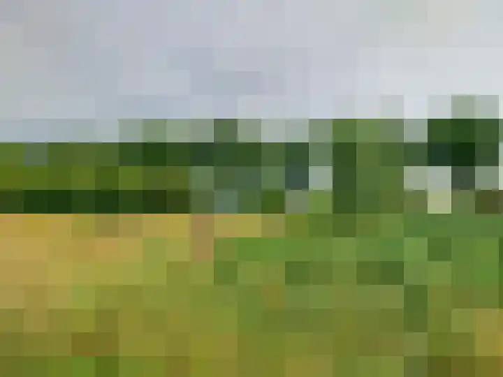 Statenweg 43 Venhorst thumbnail 42