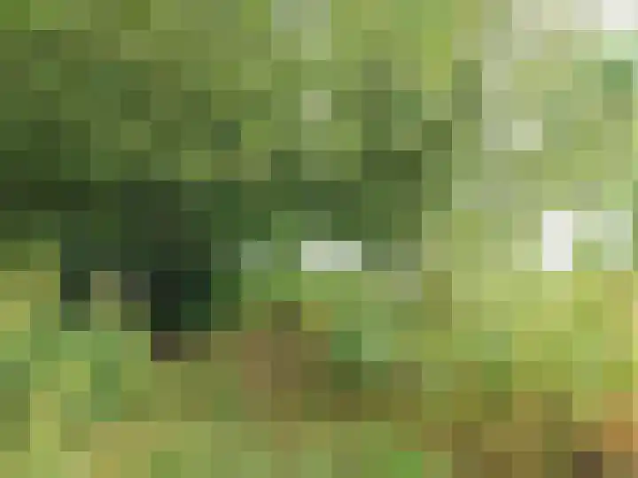 Statenweg 43 Venhorst thumbnail 43