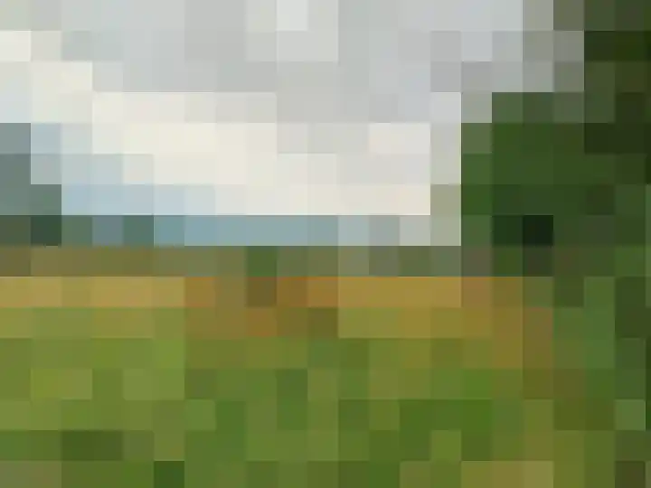 Statenweg 43 Venhorst thumbnail 44