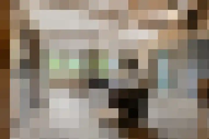 Statenweg 43 Venhorst thumbnail 7