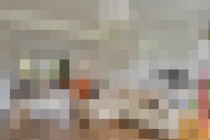 Statenweg 45 G Rotterdam thumbnail 13