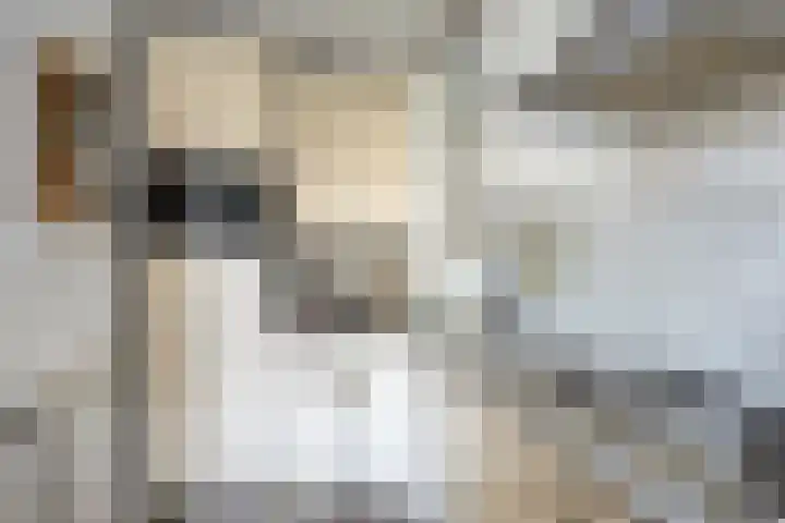 Statenweg 45 G Rotterdam thumbnail 17