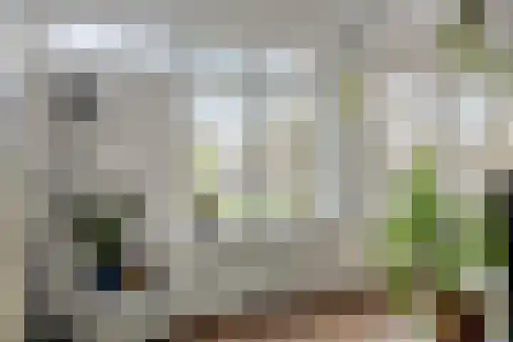 Statenweg 45 G Rotterdam thumbnail 19