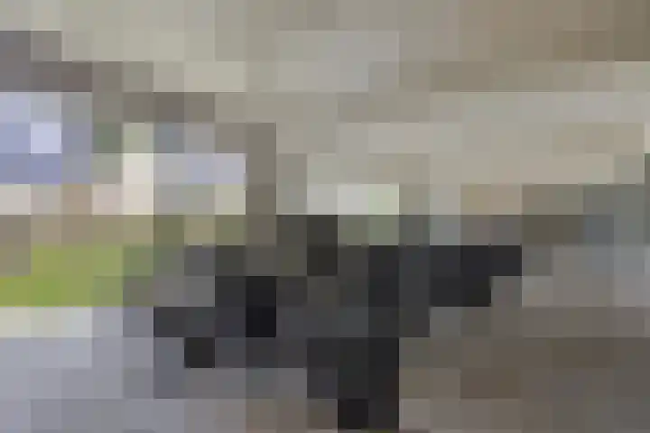 Statenweg 45 G Rotterdam thumbnail 30