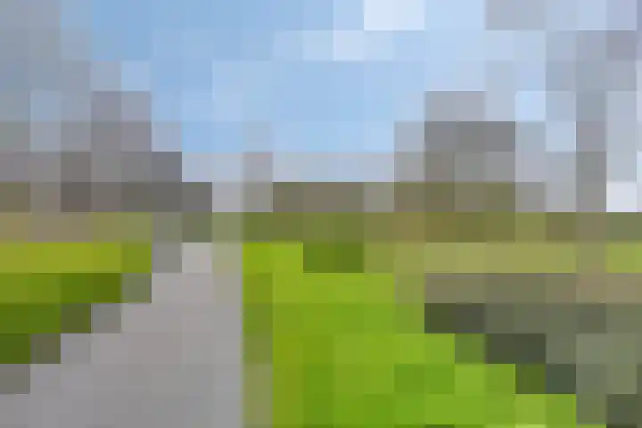 Statenweg 45 G Rotterdam thumbnail 33