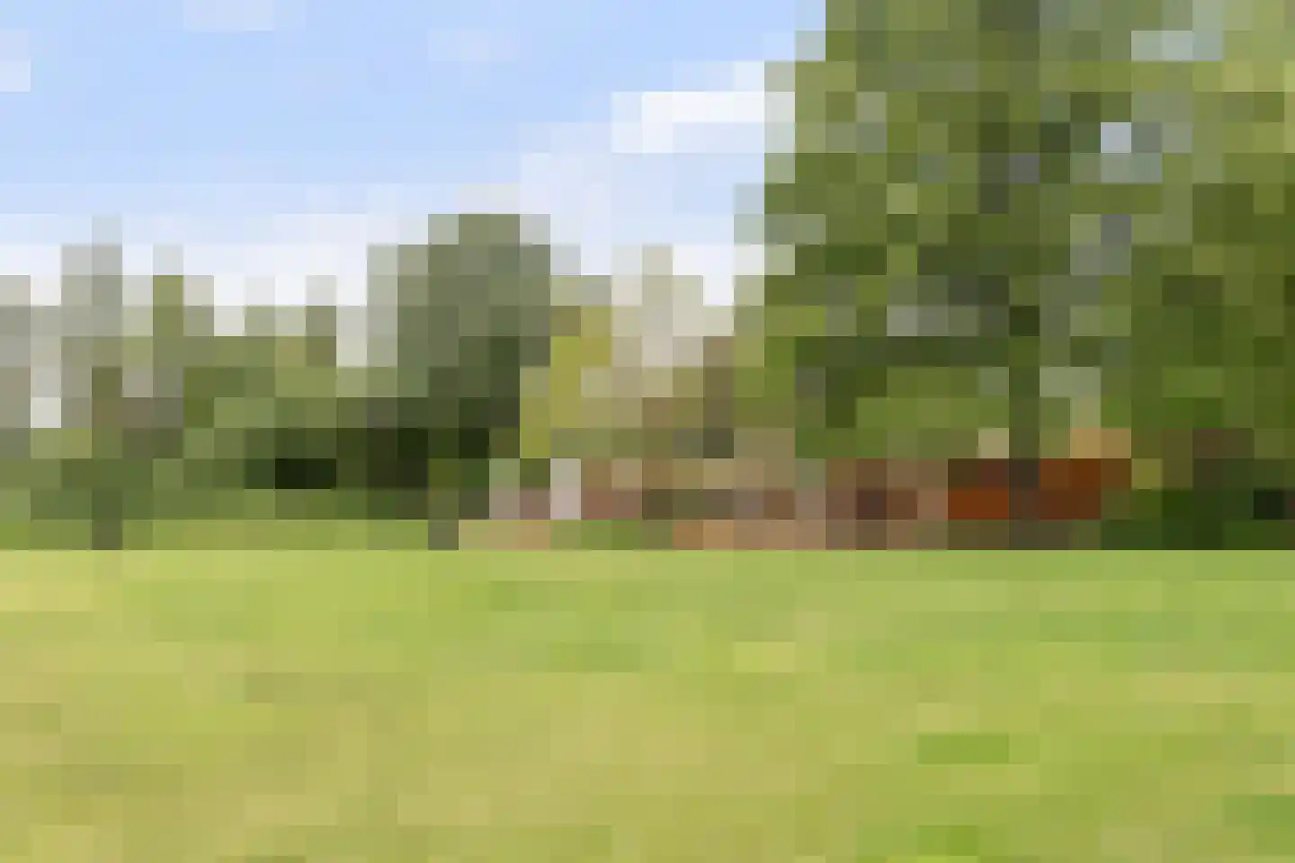 Statenweg 48 C Rotterdam thumbnail 26