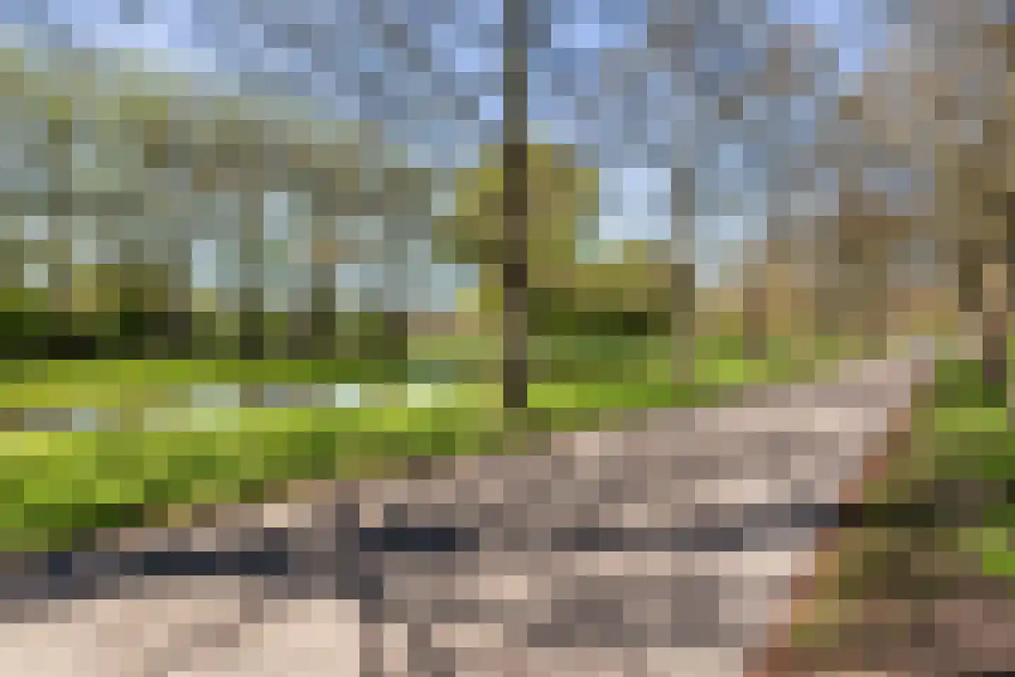 Statenweg 54 D Rotterdam thumbnail 43