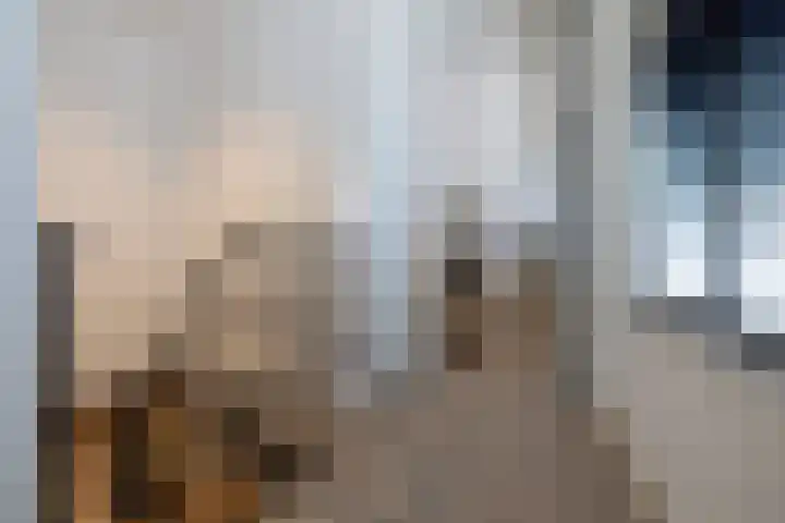 Statenweg 64 C Rotterdam thumbnail 16
