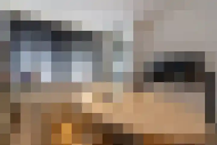 Statenweg 64 C Rotterdam thumbnail 17