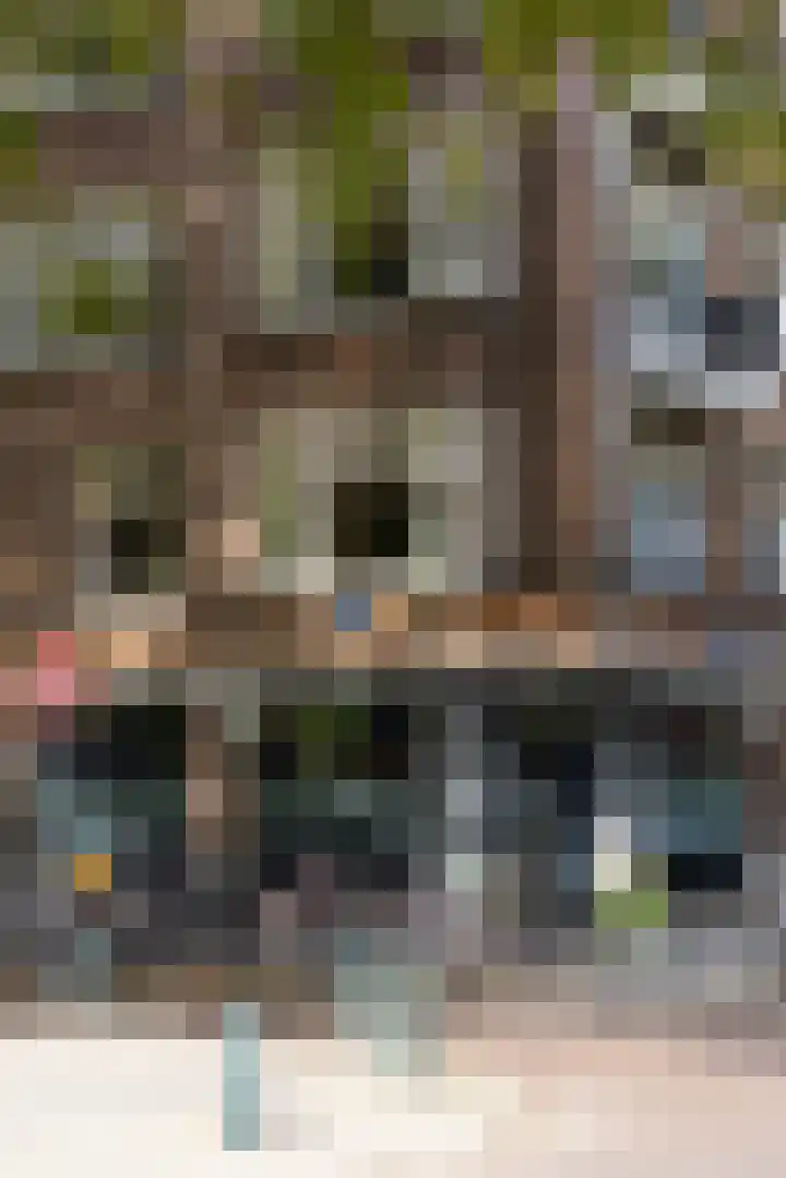 Statenweg 64 C Rotterdam thumbnail 34