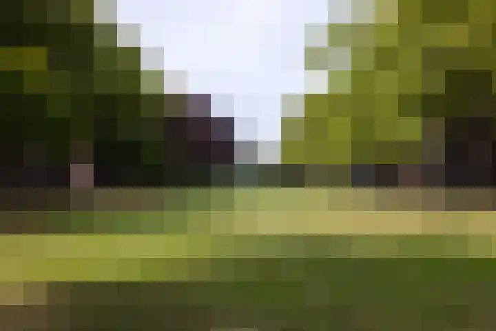 Statenweg 64 C Rotterdam thumbnail 36