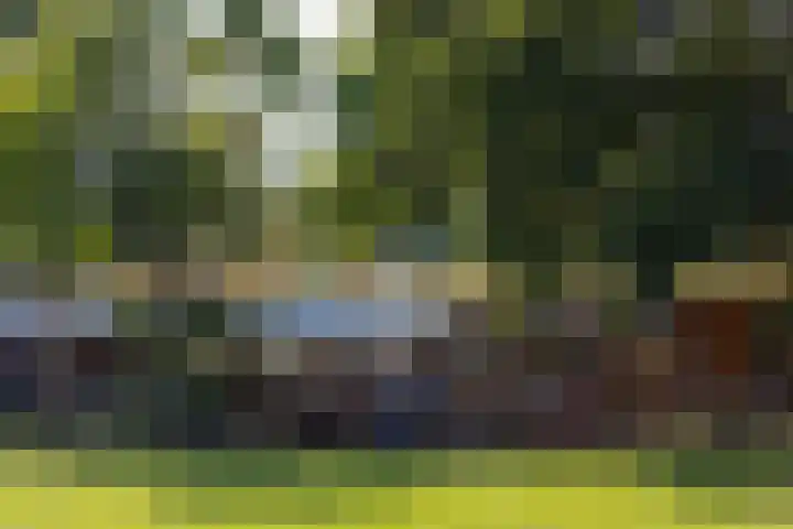 Statenweg 64 C Rotterdam thumbnail 37