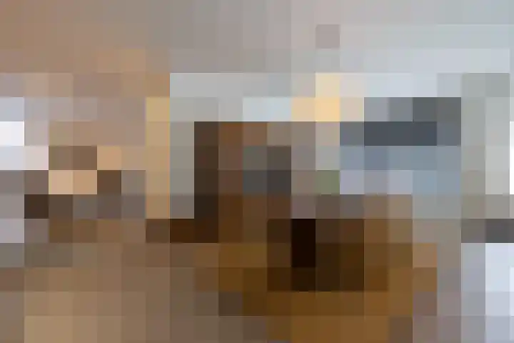 Statenweg 64 C Rotterdam thumbnail 9