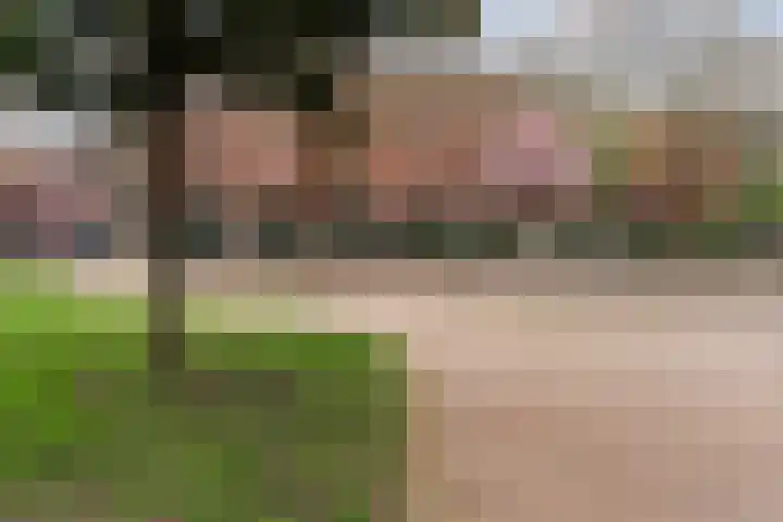 Statenweg 65 B Rotterdam thumbnail 16