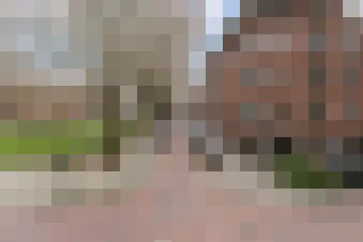 Statenweg 65 B Rotterdam thumbnail 20