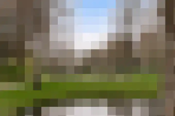 Statenweg 65 B Rotterdam thumbnail 22