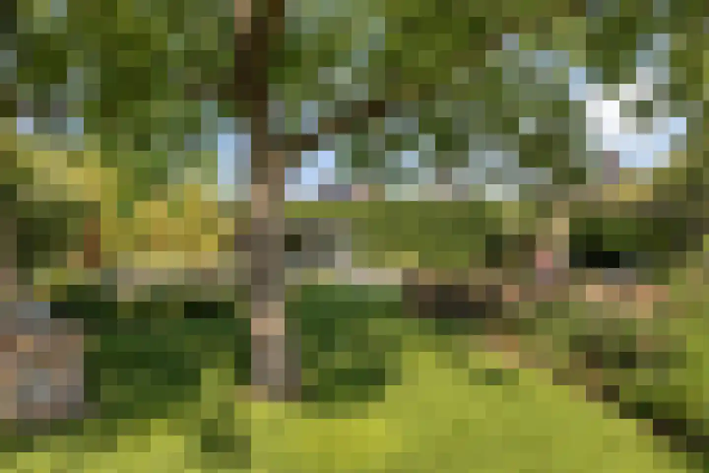 Statenweg 65 Venhorst thumbnail 58