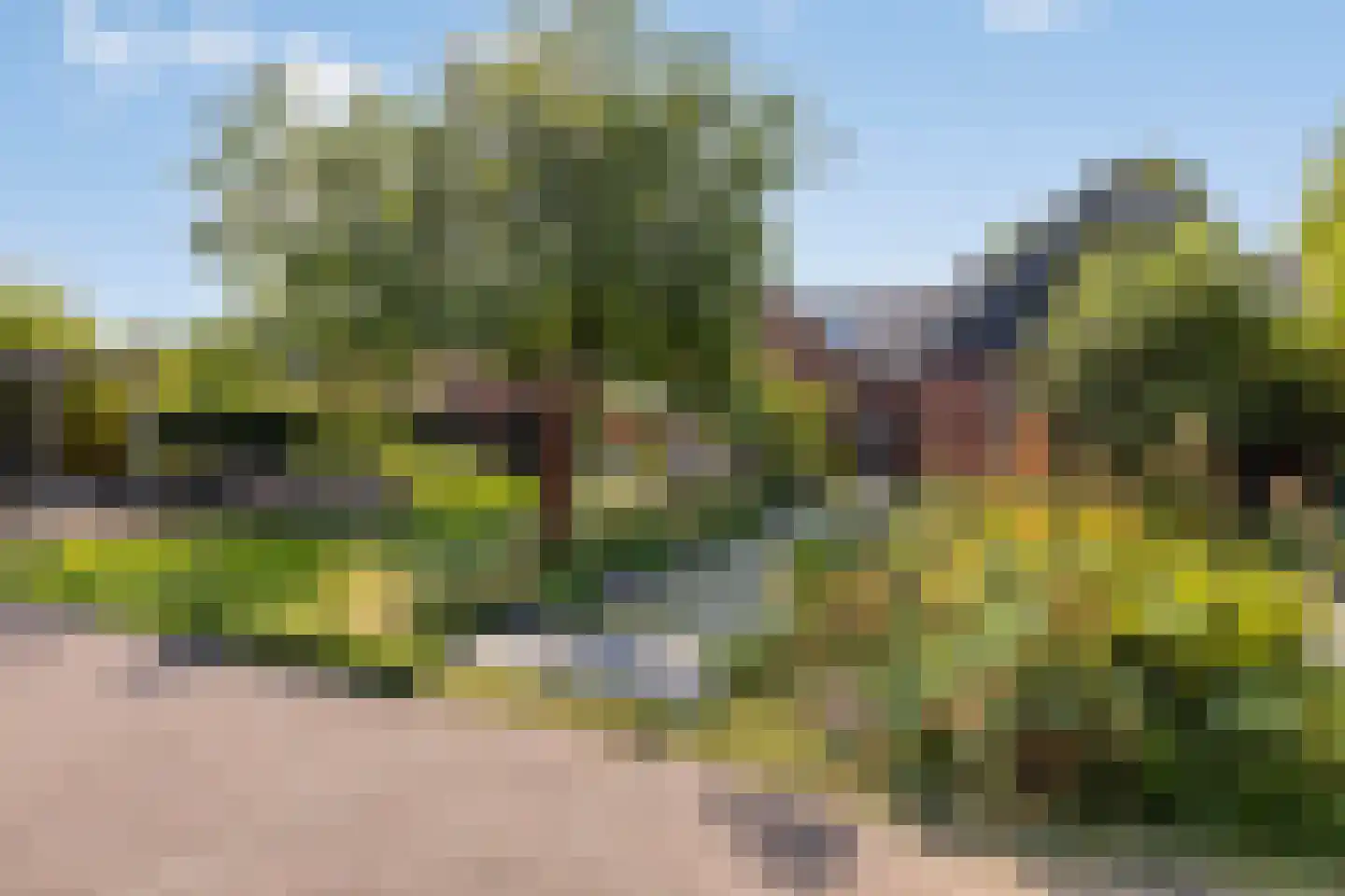 Statenweg 65 Venhorst thumbnail 68