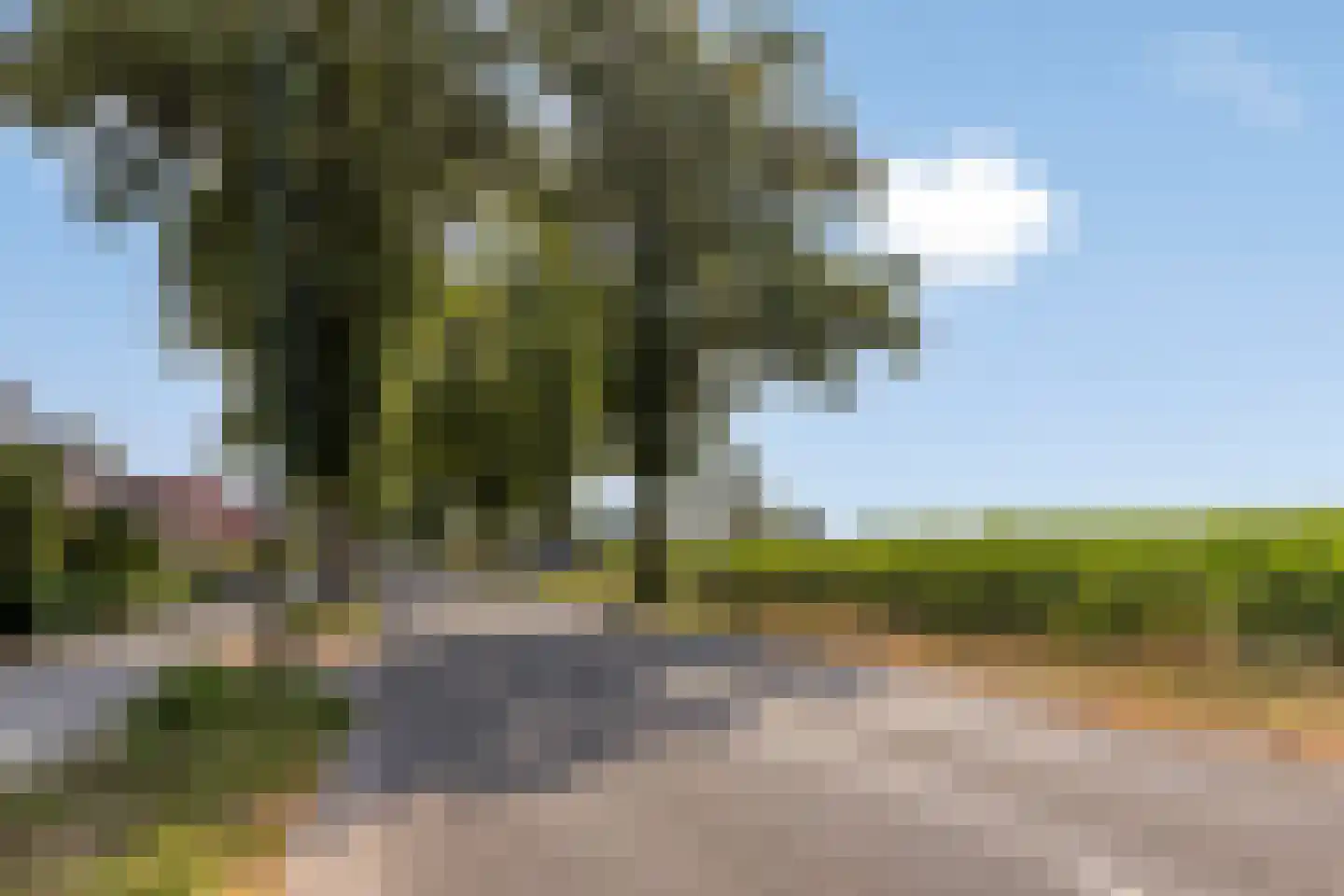Statenweg 65 Venhorst thumbnail 9