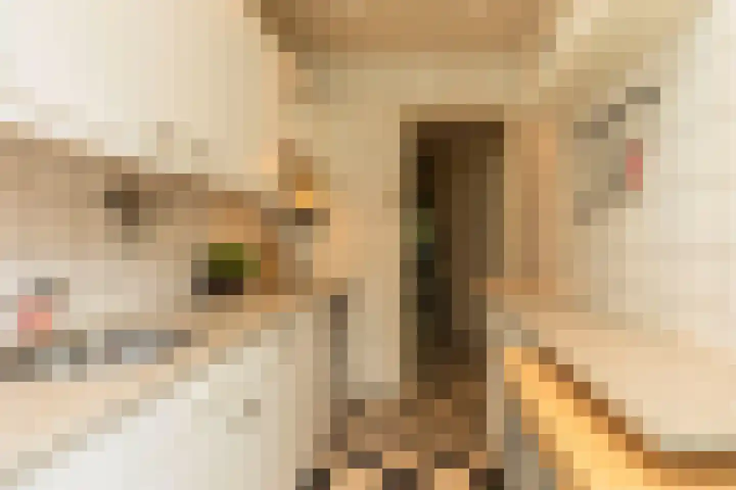 Statenweg 67 D Rotterdam thumbnail 10