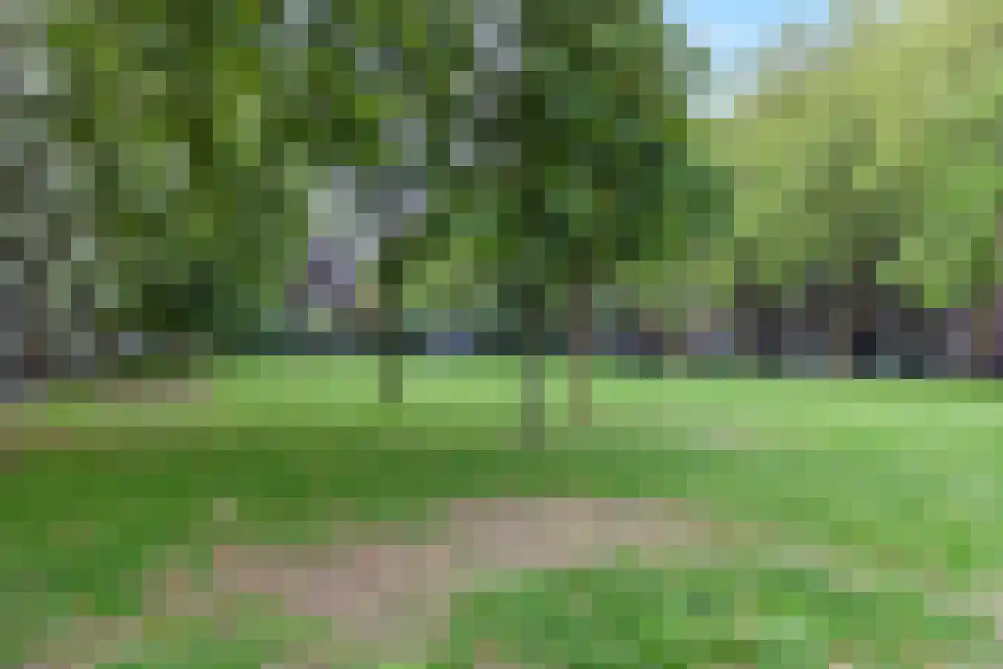 Statenweg 67 D Rotterdam thumbnail 30