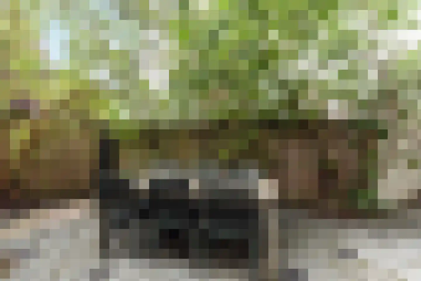Statenweg 67 D Rotterdam thumbnail 6