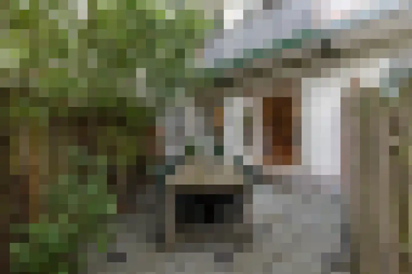 Statenweg 67 D Rotterdam thumbnail 8