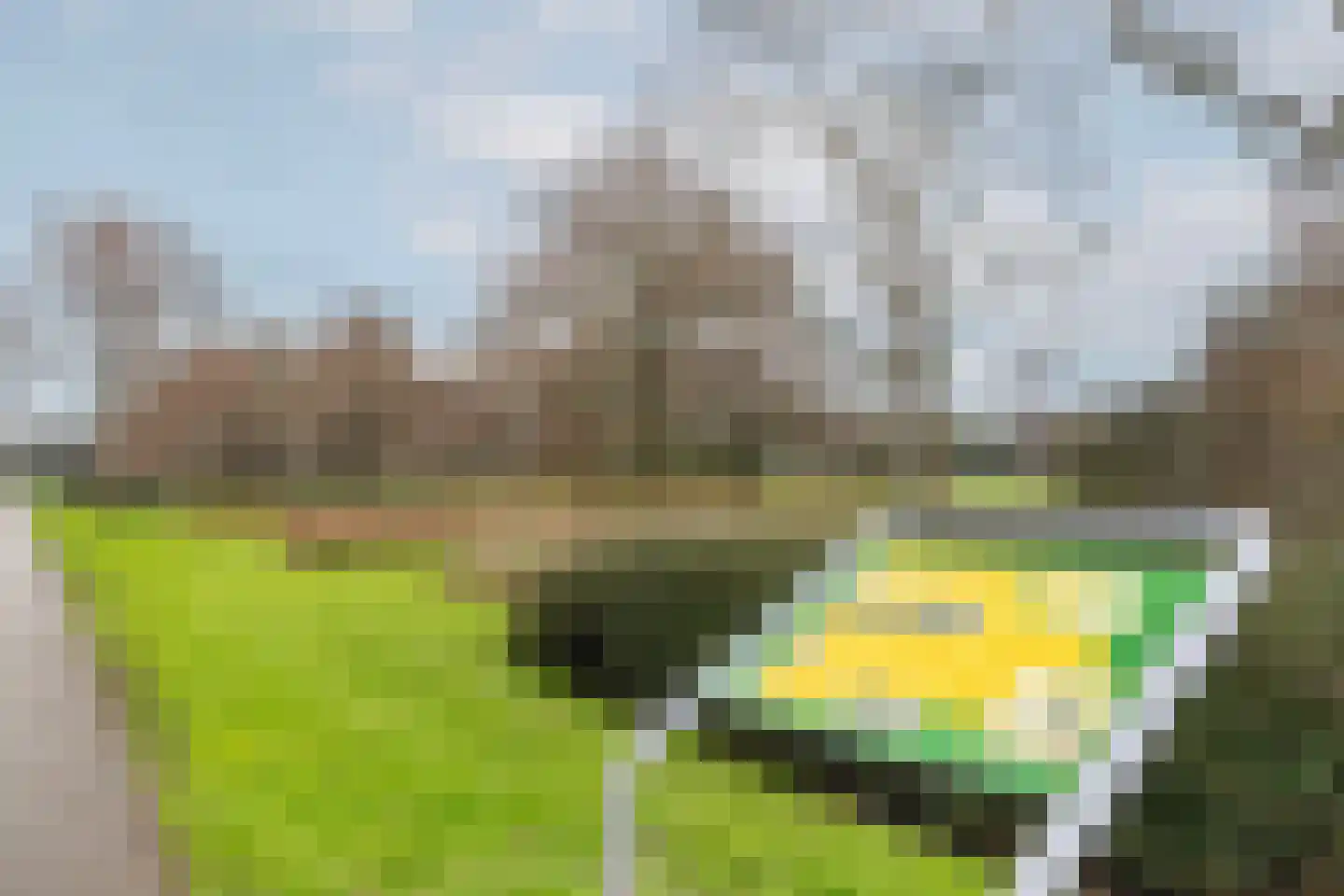 Statenweg 7 A Rotterdam thumbnail 36