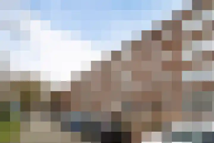 Statenweg 7 C Rotterdam thumbnail 18