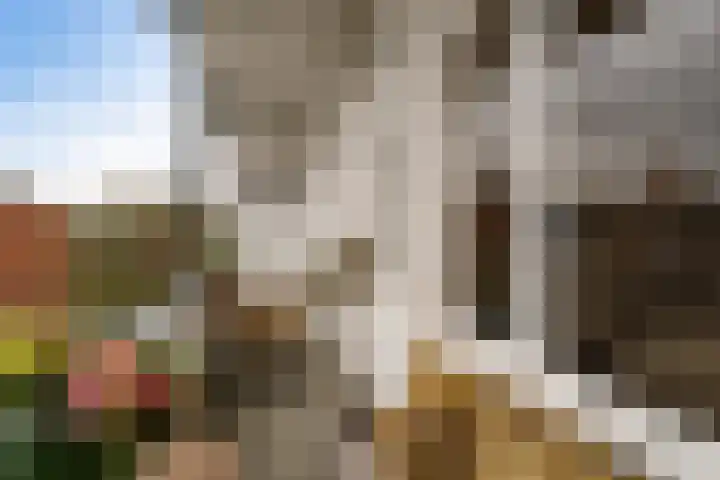 Statenweg 7 C Rotterdam thumbnail 29