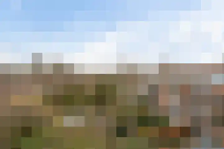Statenweg 7 C Rotterdam thumbnail 31