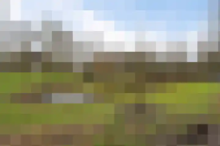 Statenweg 7 C Rotterdam thumbnail 32