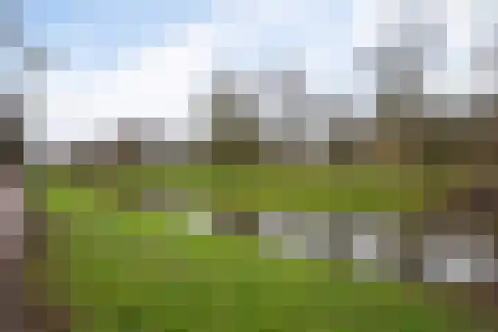 Statenweg 7 C Rotterdam thumbnail 33